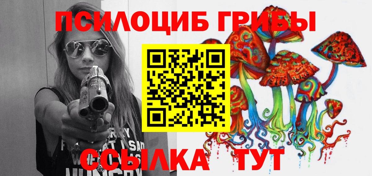 Тулун  Галлюциногенные грибы MAGIC MUSHROOMS  Вход с VPN 
